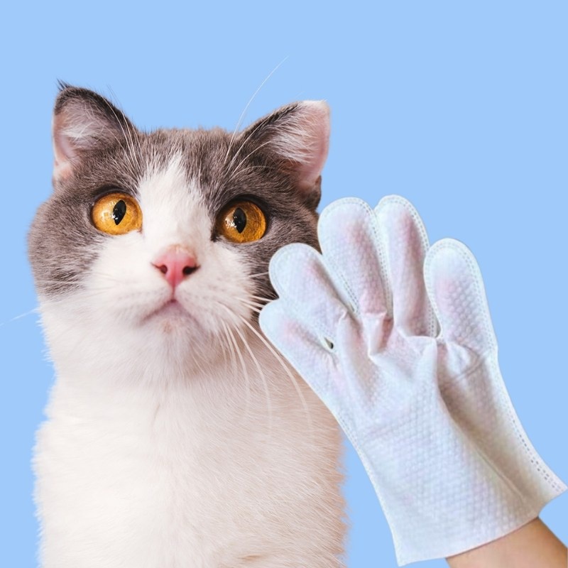 Pet Bath Glove Wipes Dry Wet Clean Wipe